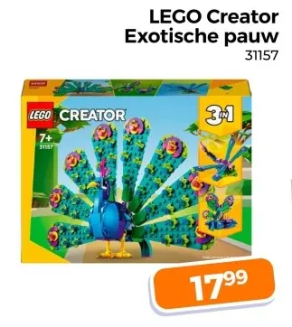 Aanbieding: Exotische pauw