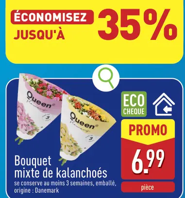 Offre: Bouquet mixte de kalanchoés
