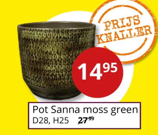 Aanbieding: Pot Sanna moss green