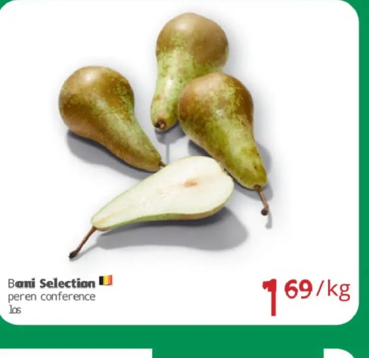 Aanbieding: peren conference