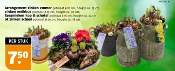Aanbieding: Planten