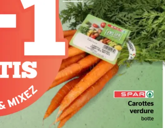 Offre: Carottes verdure