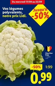Offre: Chou-fleur belge