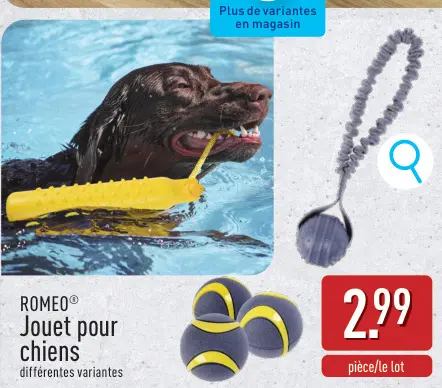 Offre: Jouet pour chiens