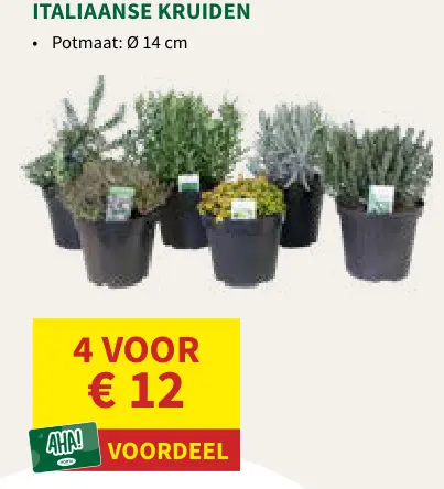 Promotie: Italiaanse Kruiden