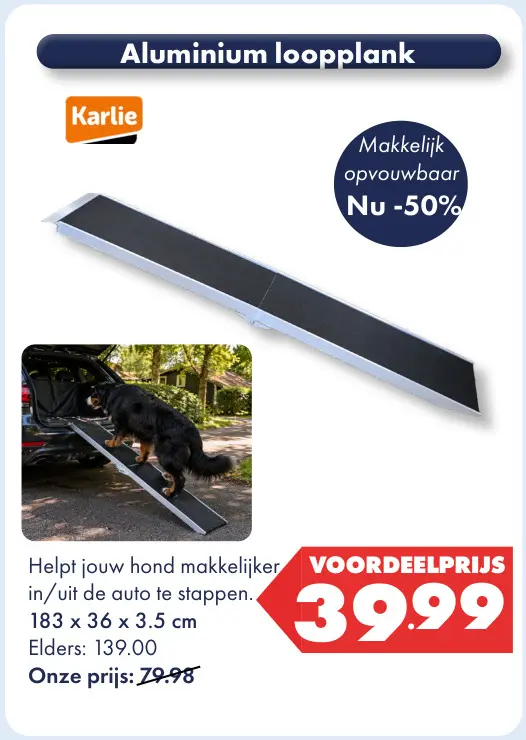 Aanbieding: Aluminium loopplank