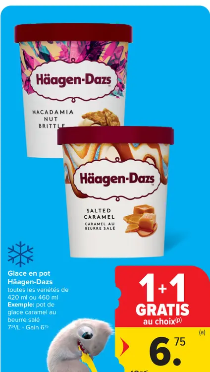 Offre: Glace en pot