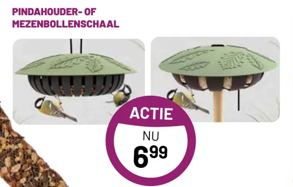 Aanbieding: Pindahouder- of mezenbollenschaal