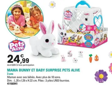 Offre: MAMA BUNNY ET BABY SURPRISE PETS ALIVE