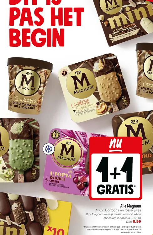 Aanbieding: Alle Magnum