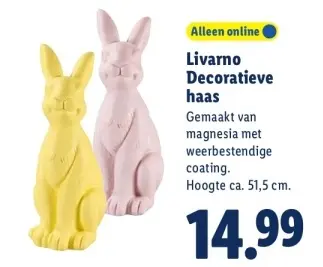 Aanbieding: Decoratieve haas