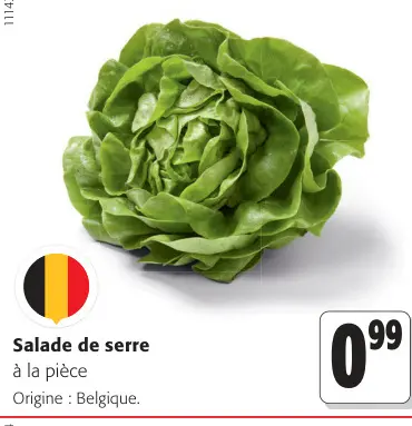 Offre: Salade de serre