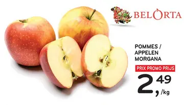 Offre: Pommes / Appelen Morgana