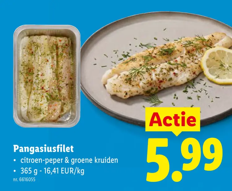 Promotie: Pangasiusfilet