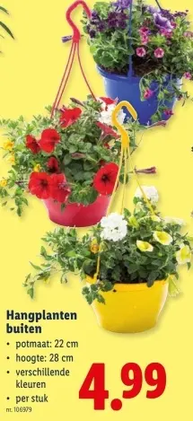 Promotie: Hangplanten buiten