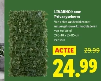 Aanbieding: LIVARNO home Privacyscherm