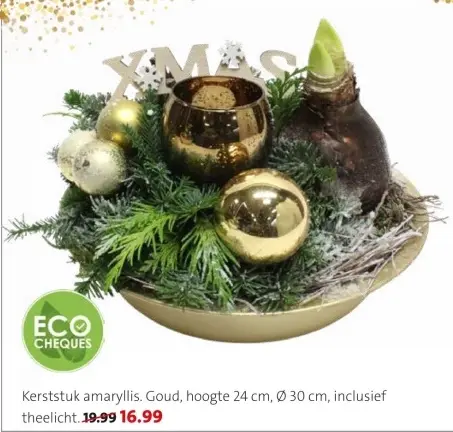 Promotie: Kerststuk amaryllis