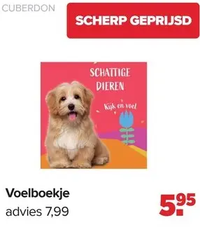 Aanbieding: CUBERDON Voelboekje