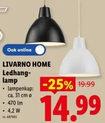 Promotie: Ledhang-lamp