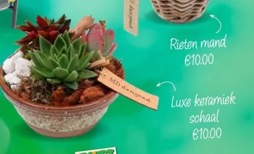 Aanbieding: Luxe keramiek schaal