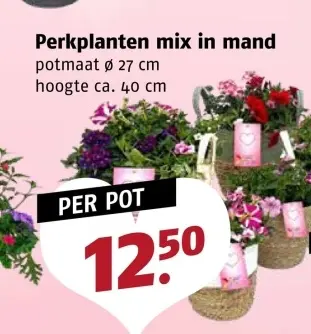 Aanbieding: Perkplanten mix in mand