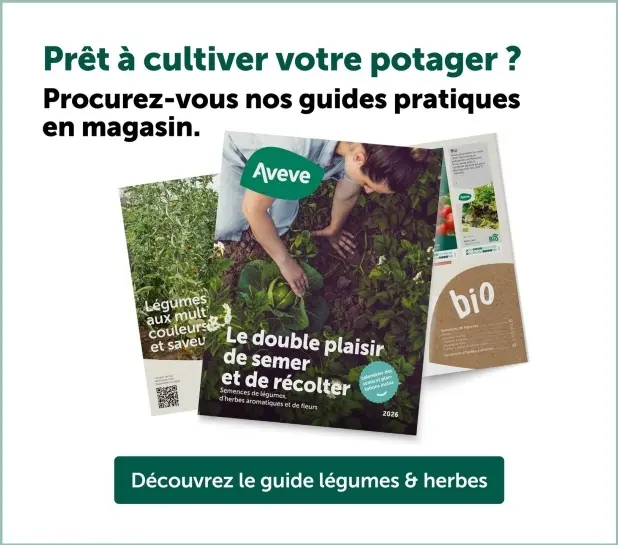 Offre: Guide légumes & herbes