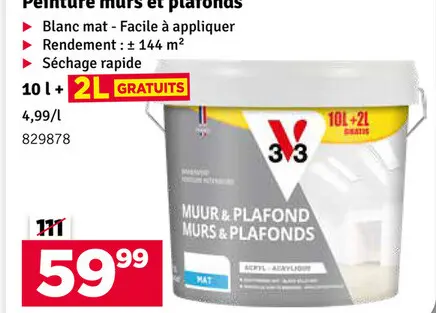 Offre: Peinture murs et plafonds