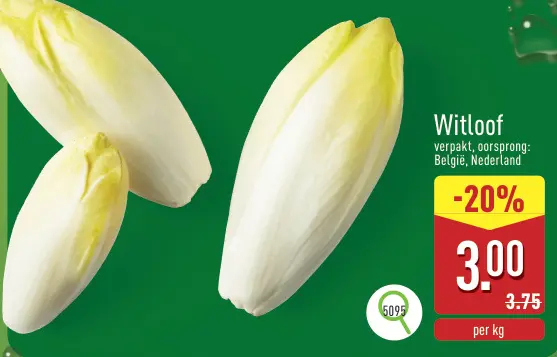 Promotie: Witloof