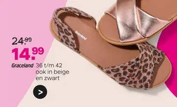 Aanbieding: Graceland