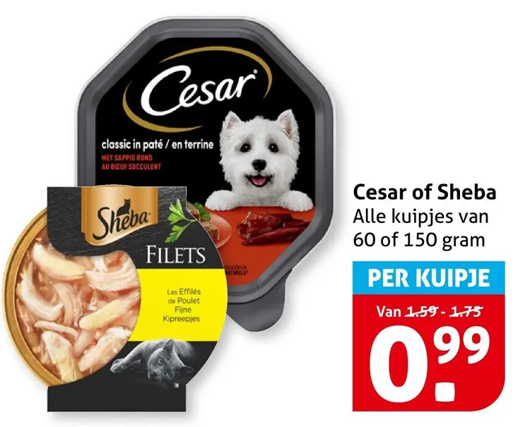Aanbieding: Cesar of Sheba
