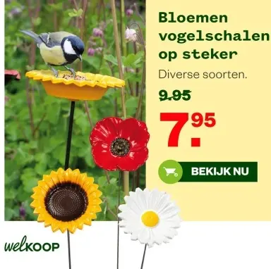 Aanbieding: Bloemen vogelschalen op steker