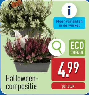 Promotie: Halloweencompositie