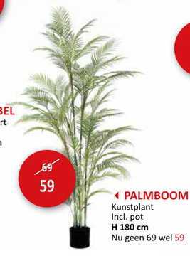 Aanbieding: Kunstplant Palmboom H180cm