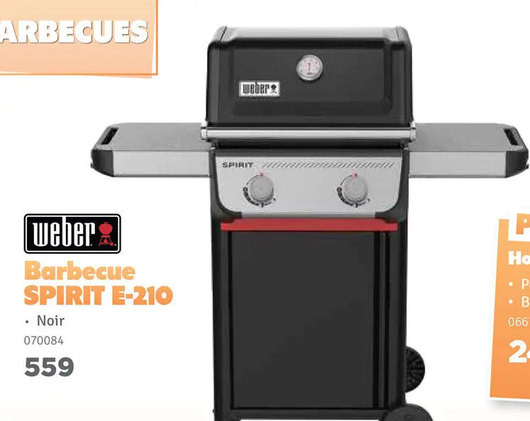 Offre: Barbecue SPIRIT E-210