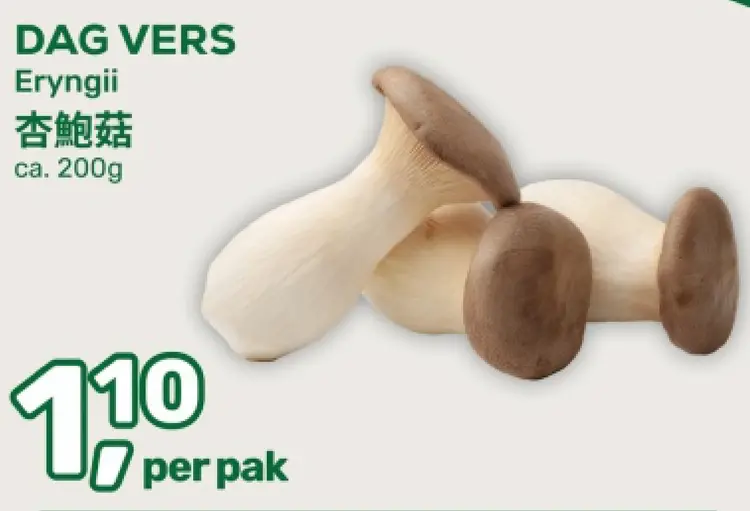 Aanbieding: Eryngii