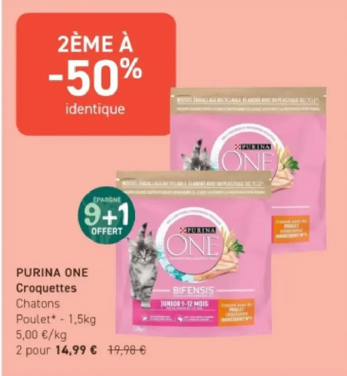 Offre: Croquettes Chatons Poulet