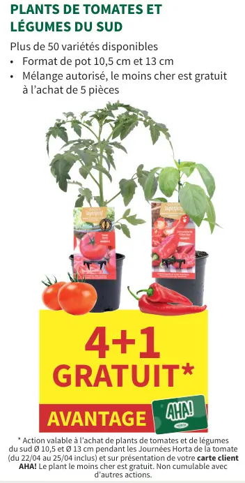 Offre: Plants de tomates et légumes du sud