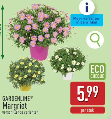 Promotie: Margriet