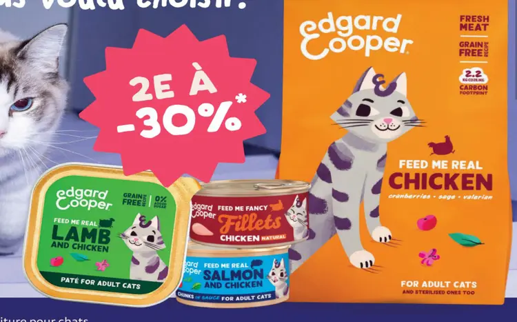 Offre: Cat Food