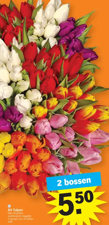 Promotie: Tulpen