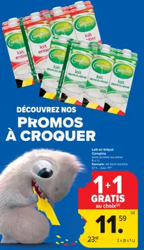 Offre: Lait en brique