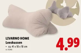 Promotie: Leeskussen