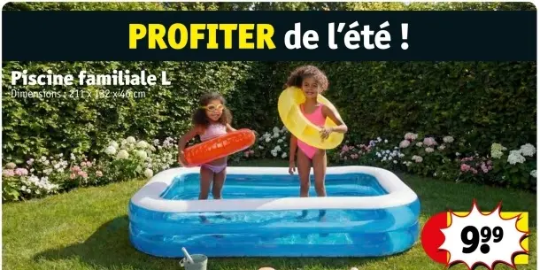 Offre: Piscine familiale L