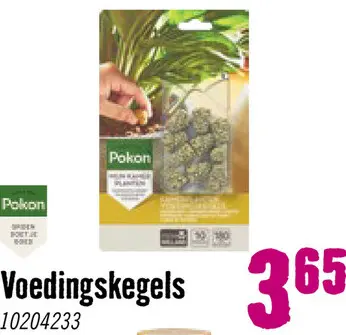 Aanbieding: Kamerplanten voedingskegels 10 st