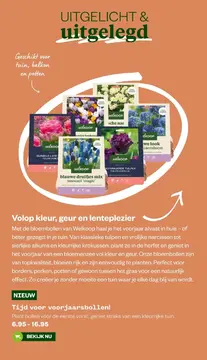 Aanbieding: Voorjaarsbollen