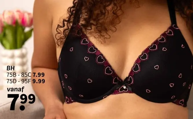 Promotie: Bh