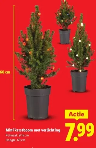 Aanbieding: Mini kerstboom met verlichting