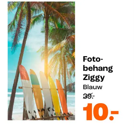 Aanbieding: Fotobehang Ziggy