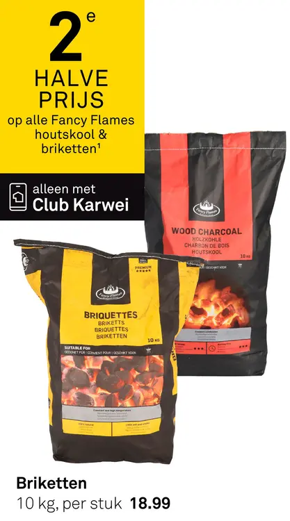 Aanbieding: Alle Fancy Flames houtskool & briketten