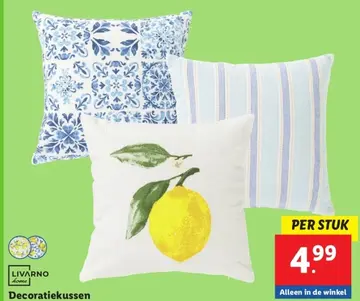 Aanbieding: Decoratiekussen